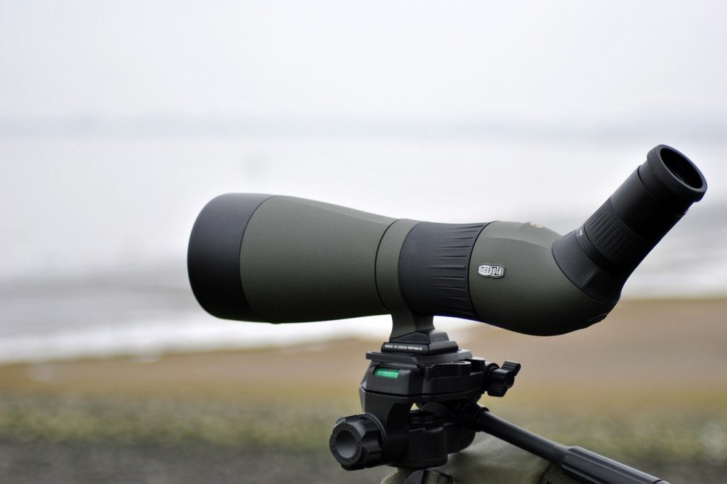 The 10 Best Binoculars For Bird Watching Under 200 (Reviewed